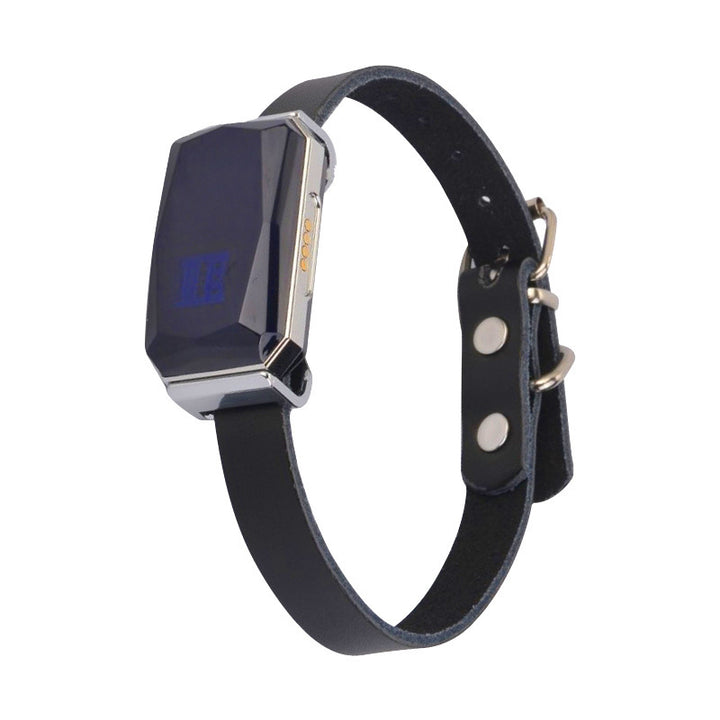PetTrek™ – Smart GPS Collar for Dogs | Never Lose Your Pet Again