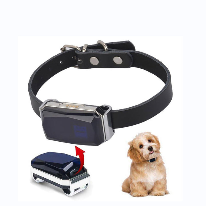 PetTrek™ – Smart GPS Collar for Dogs | Never Lose Your Pet Again